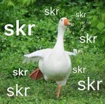 吃瓜群众的意思和造句是什么